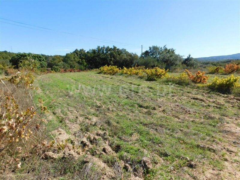 Land with 9000sqm Pêro Viseu Fundão