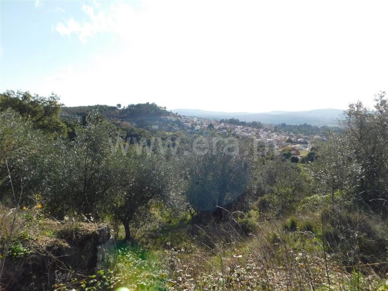 Land Agricultural with 15000sqm Pêro Viseu Fundão - water, well