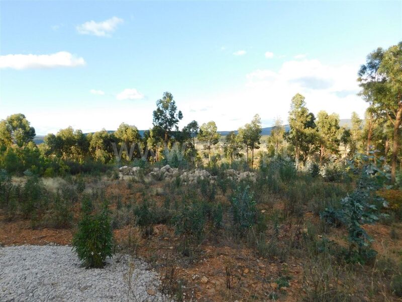 Land with 10450sqm Quintas da Torre Fundão - water, water hole, construction viability