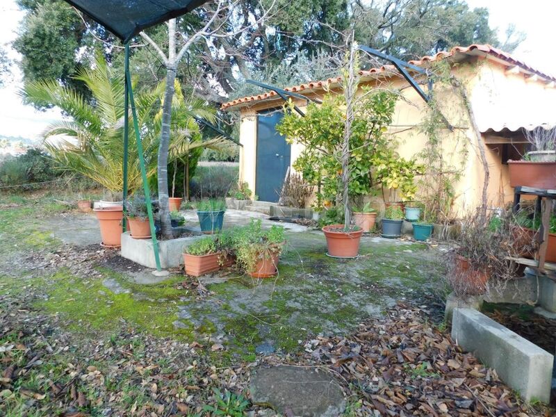 Terreno Agrícola com 3000m2 Telhado Fundão - água, árvores de fruto, tanque, poço, furo