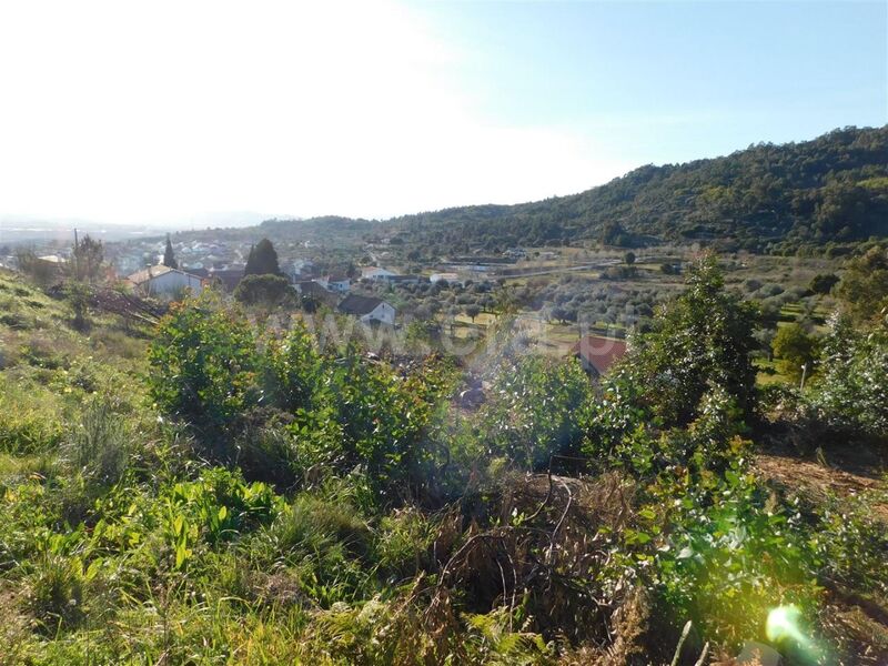 Land with 16000sqm Pêro Viseu Fundão