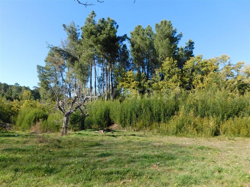 Land with 3200sqm Alcaide Fundão - tank, water, well