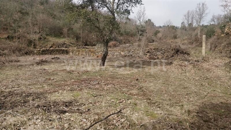 Terreno com 2540m2 Vales Pêro Viseu Fundão - poço