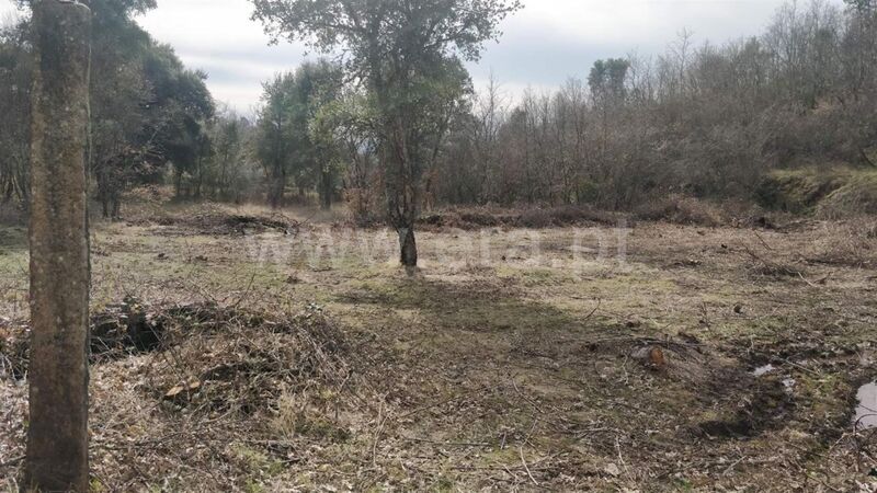 Land with 4200sqm Pêro Viseu Fundão - well