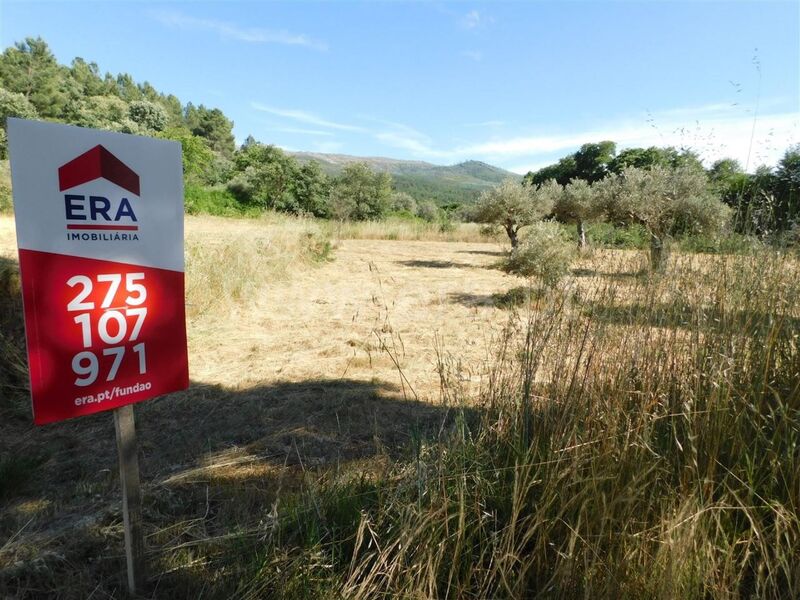 Terreno para recuperar Souto da Casa Fundão para venda - árvores de fruto, água