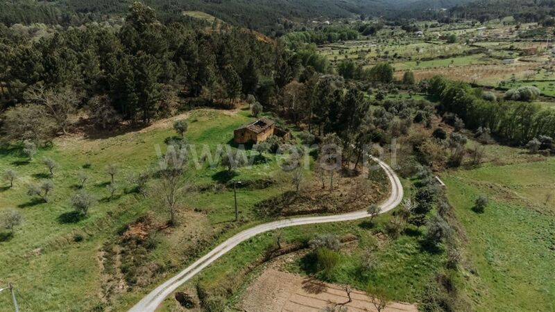 Terreno para recuperar Souto da Casa Fundão para venda - árvores de fruto, água