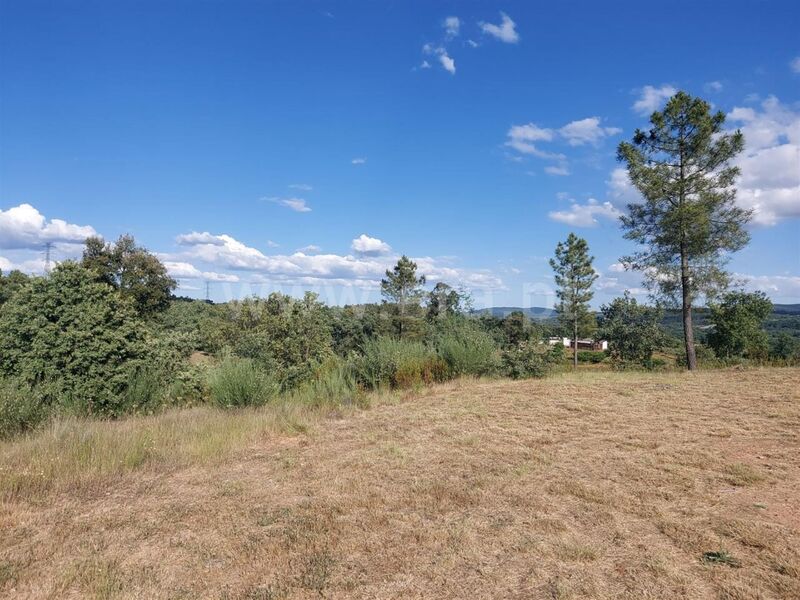 Terreno com 10000m2 Pêro Viseu Fundão - água