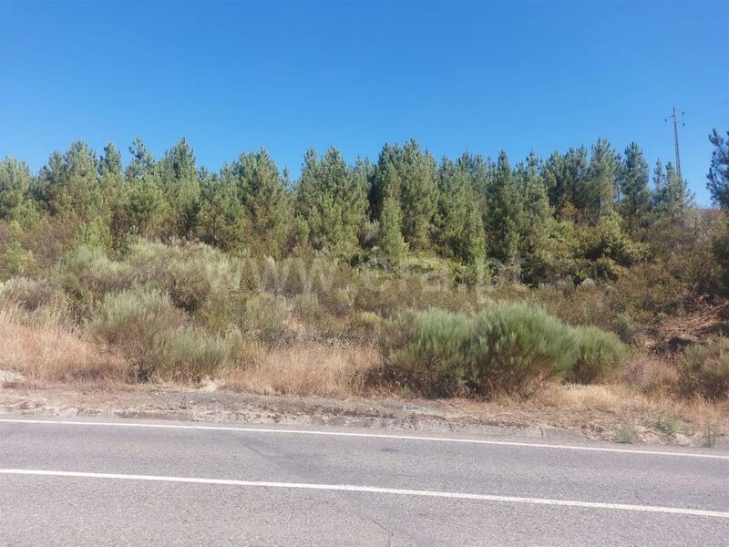 Terreno com 16000m2 Silvares Fundão - electricidade