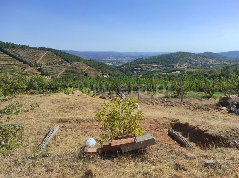 Farm Alcongosta Fundão