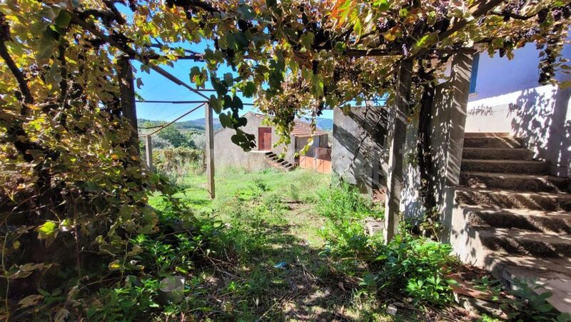 Quinta Enxames Fundão - água, furo, tanque