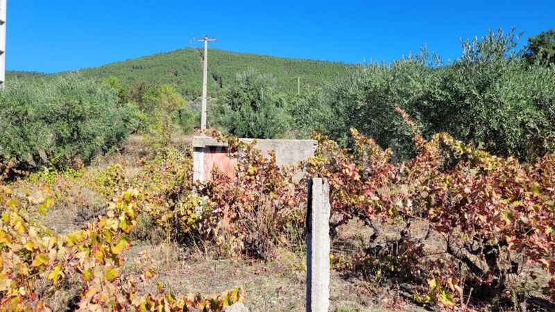 Land with 4800sqm Cortiçada Fundão - well, easy access, water