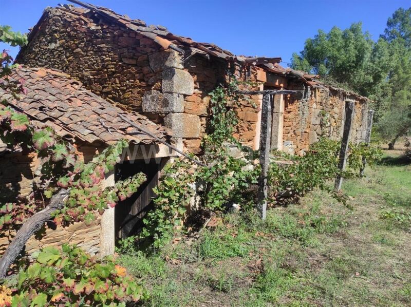 Quinta Enxames Fundão - poço, bons acessos, água