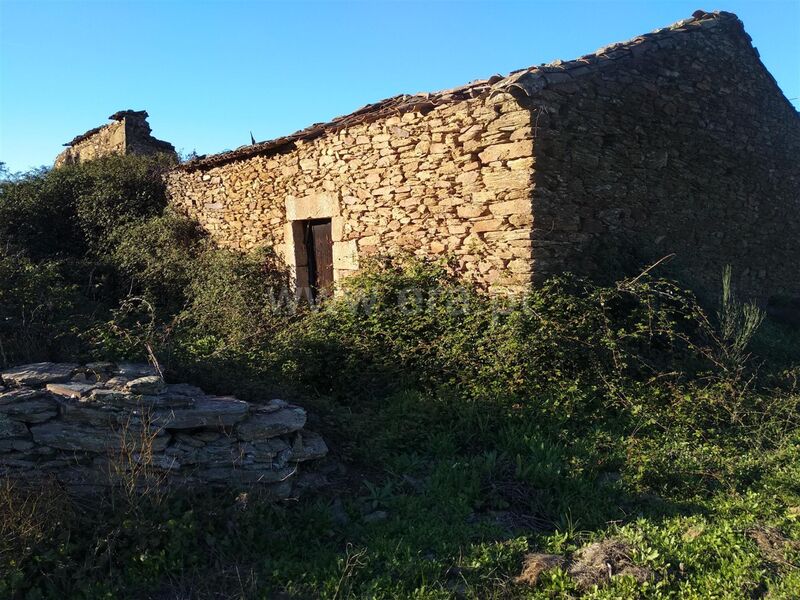 Terreno com 10000m2 à venda Enxames Fundão - água, oliveiras, regadio