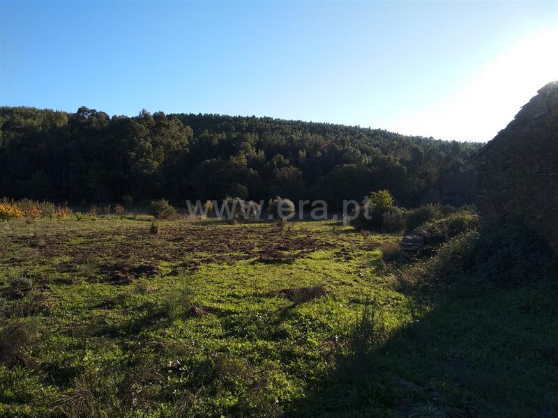 Terreno com 10000m2 Enxames Fundão - água, oliveiras, regadio