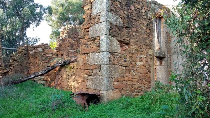 Terreno com 16000m2 à venda Enxames Fundão - água, regadio