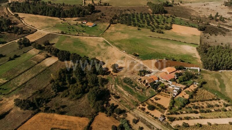 Land with 16000sqm Enxames Fundão - water, irrigated land