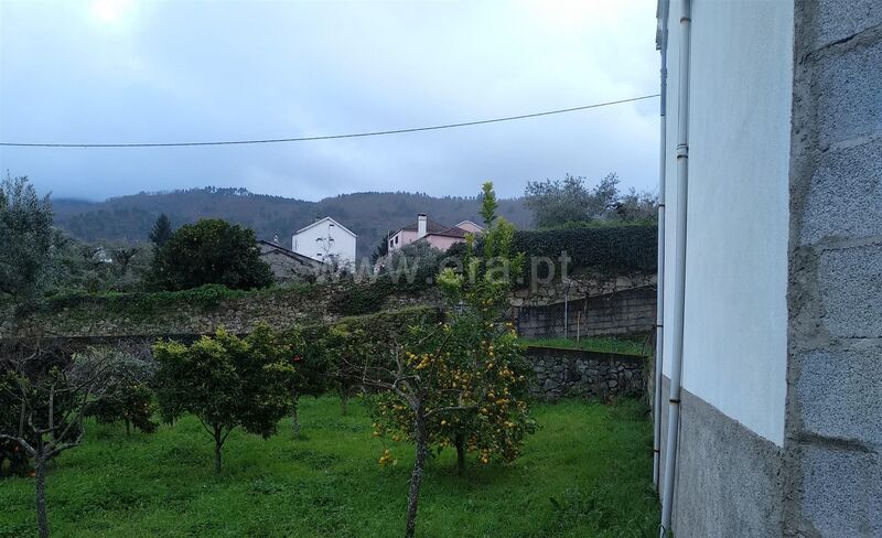 À venda Terreno com 8000m2 Aldeia Nova Fundão - água, oliveiras, poço, árvores de fruto
