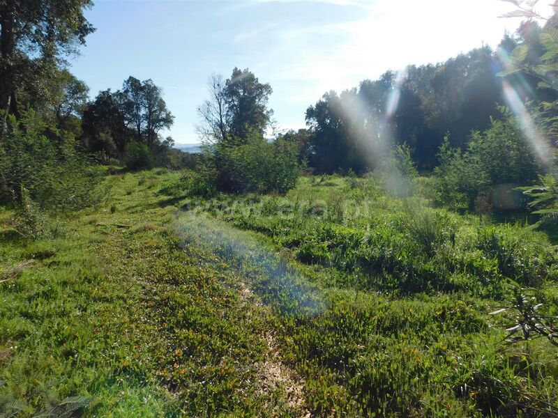 Land with 40000sqm Vales Pêro Viseu Fundão - water, shed, easy access