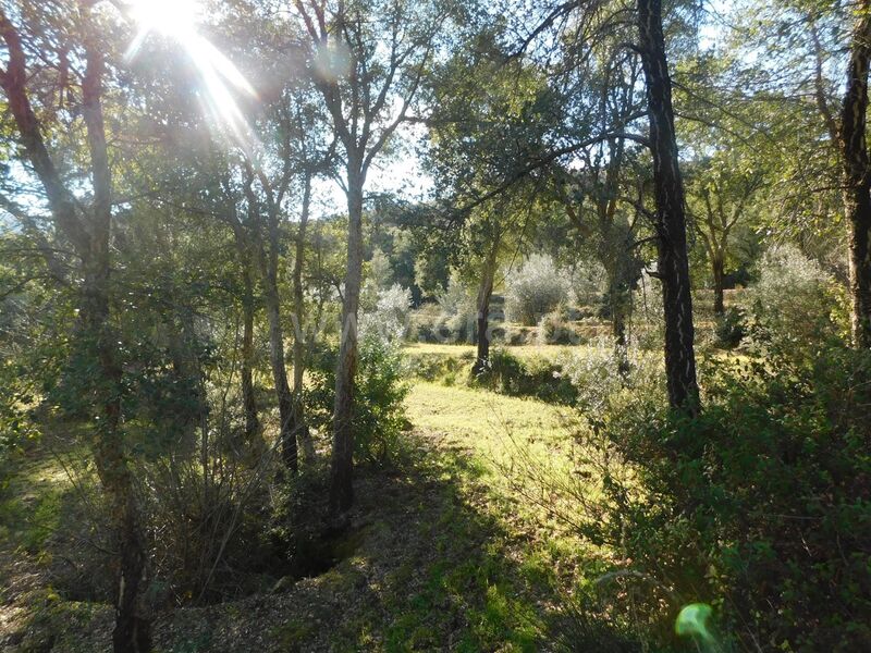 Land with 10000sqm Telhado Fundão - easy access, well