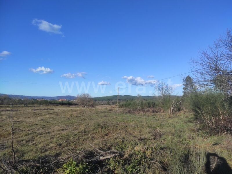 Land with 8700sqm Enxames Fundão