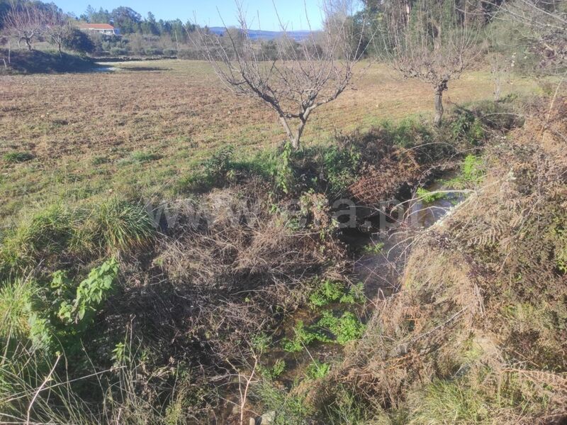 Terreno com 8300m2 Enxames Fundão - poço, água, bons acessos