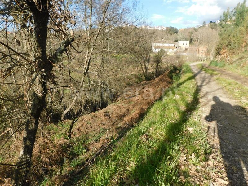 Land with 3750sqm Souto da Casa Fundão