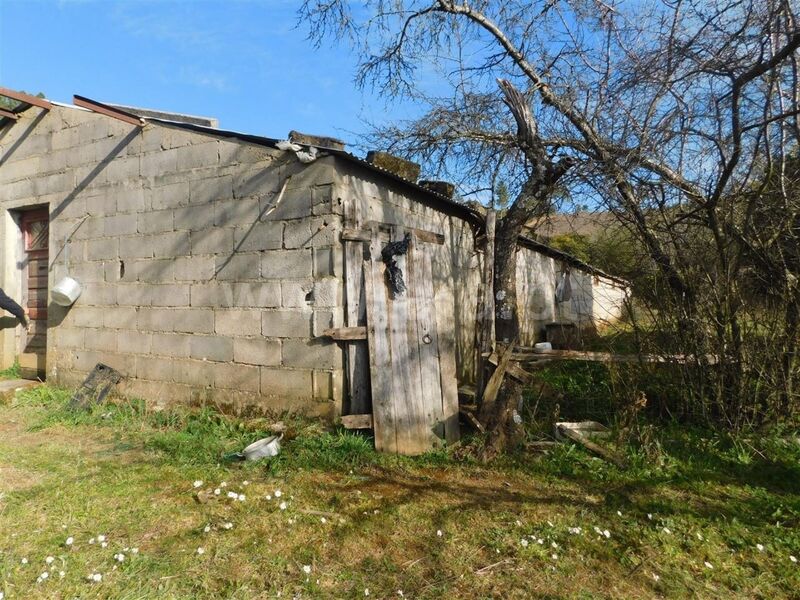 Quinta Castelejo Fundão à venda - árvores de fruto, água