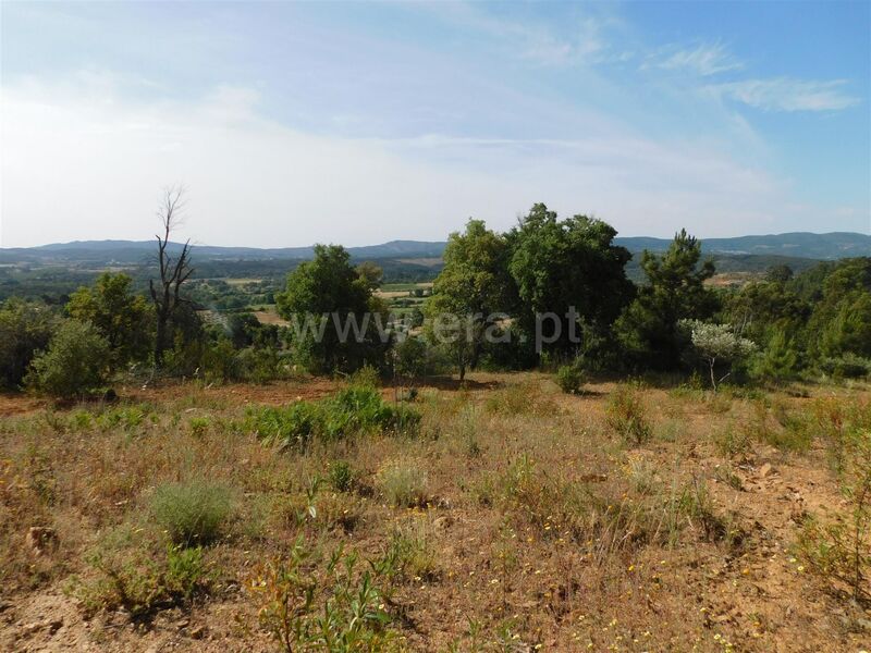 земля c 17000m2 Vales Pêro Viseu Fundão - электричество, отличный подъезд