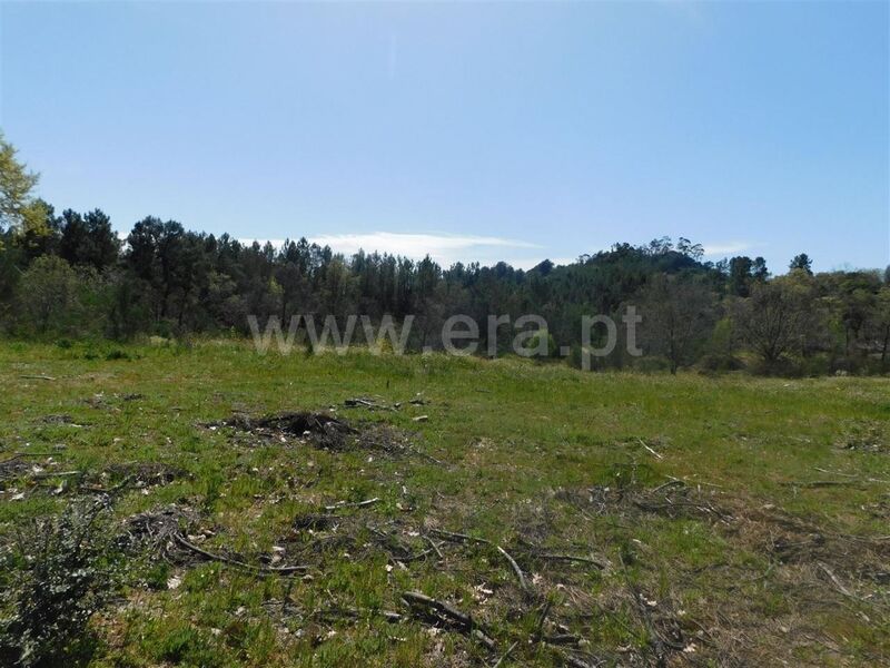 Land with 20000sqm Póvoa da Atalaia Fundão