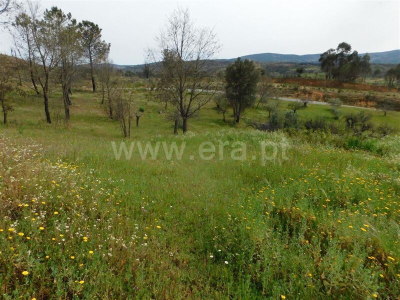 Venda Terreno Agrícola com 11440m2 Pêro Viseu Fundão - poço, água