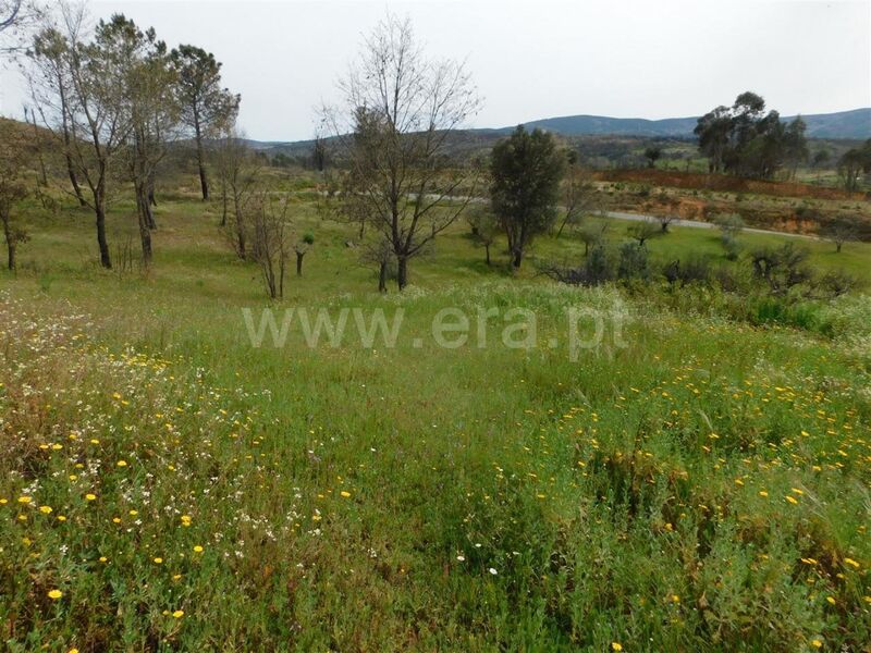 Land with 11440sqm Pêro Viseu Fundão - ,