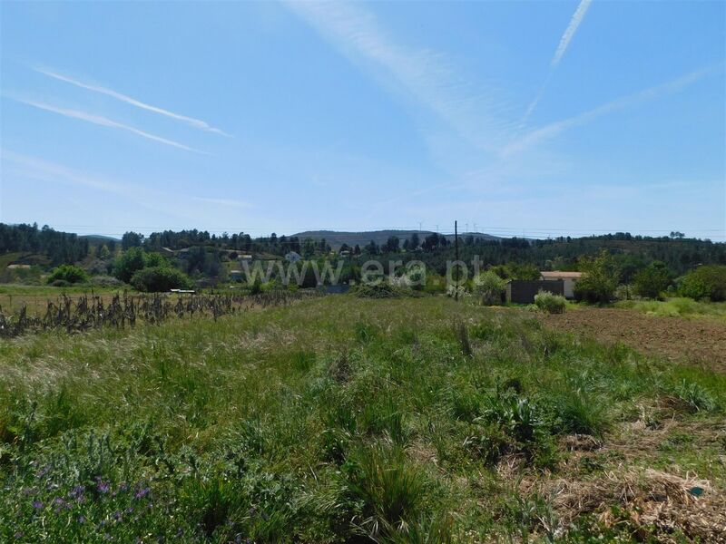 Land with 210sqm Castelejo Fundão - ,