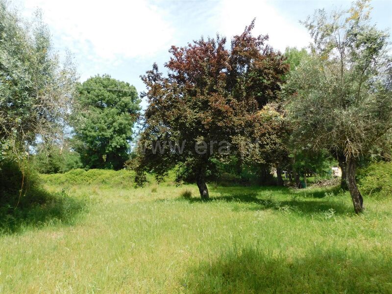 Land with 1500sqm Orca Fundão - ,