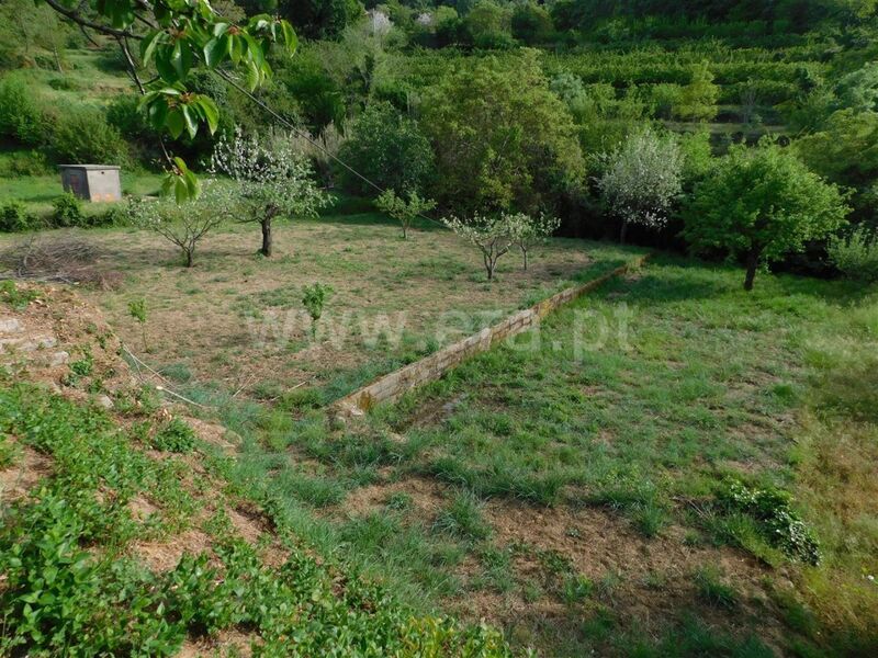 Land with 3000sqm Alcaide Fundão - shed, water, tank