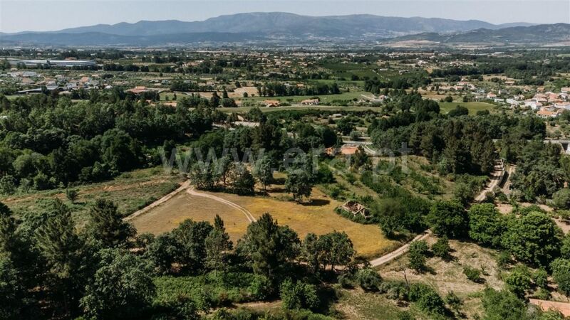 Land with 10000sqm Donas Fundão