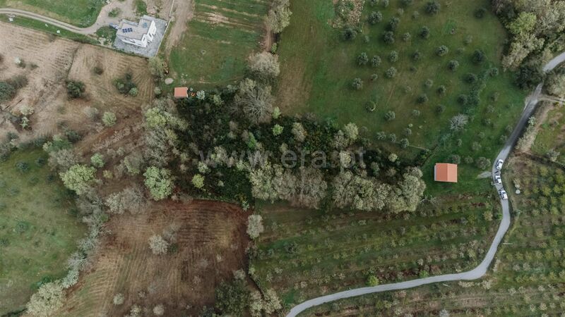 Terreno Agrícola com 5000m2 Donas Fundão - água, regadio