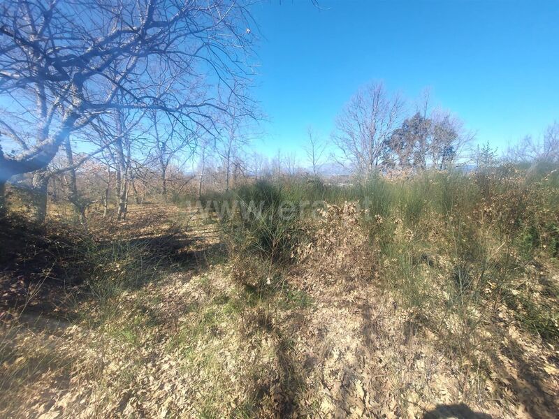 Terreno Agrícola com 5600m2 Donas Fundão para comprar - água, regadio