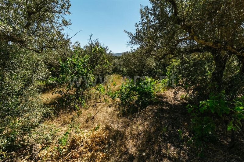 Land with 370sqm Carvalhal Fundão