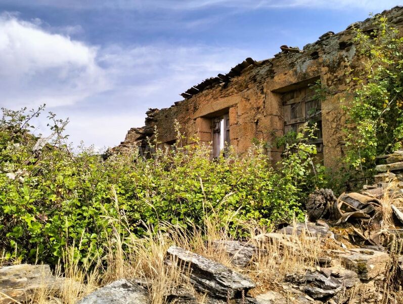 Terreno Agrícola com 14000m2 Enxames Fundão para comprar - água, poço, regadio