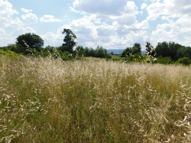 Terreno com 2100m2 Alpedrinha Fundão - água