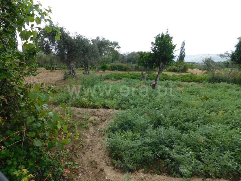 Land with 4600sqm Alpedrinha Fundão - well, water, easy access