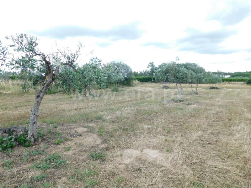 Land with 2500sqm Alpedrinha Fundão - well, water, shed