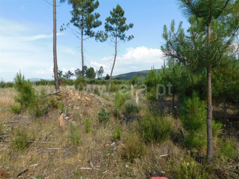 Land with 15000sqm Covilhã - water