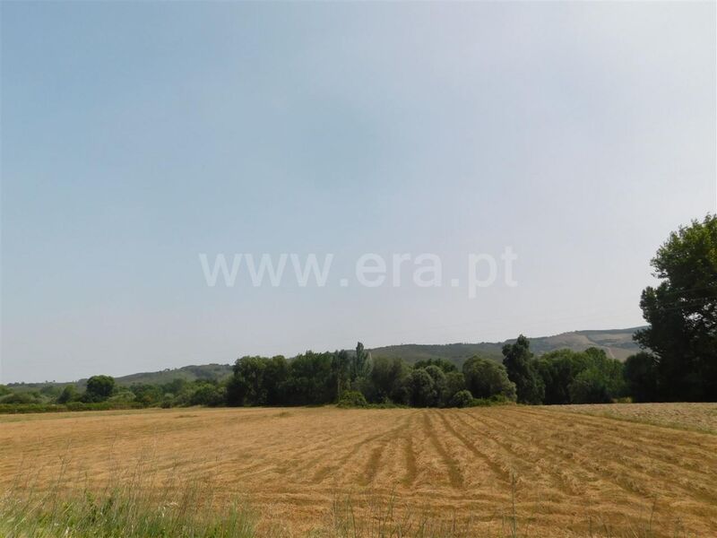 Terreno Agrícola com 30000m2 Covilhã