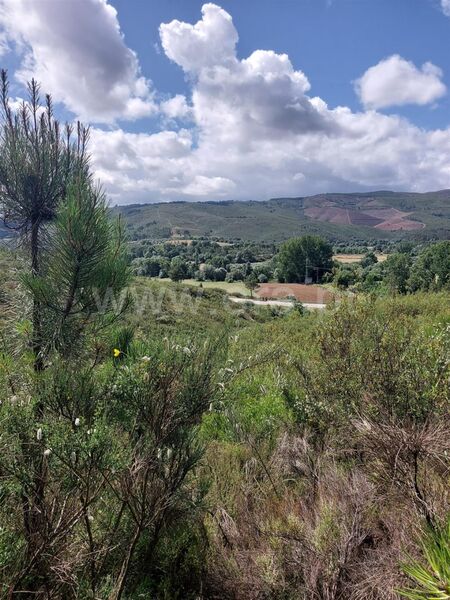 Land with 12000sqm Covilhã