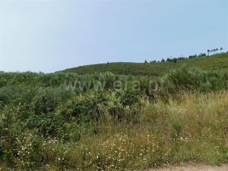 Land with 50000sqm Covilhã - water, well