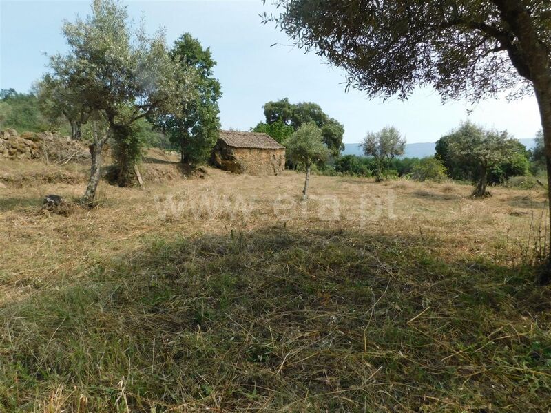 Land with 1830sqm Vales Pêro Viseu Fundão