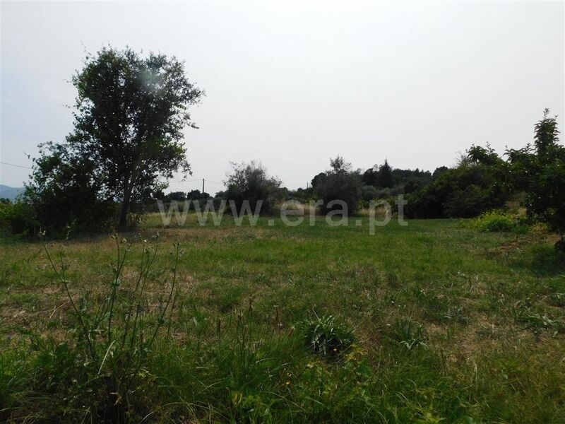 Land with 560sqm Pêro Viseu Fundão - ,