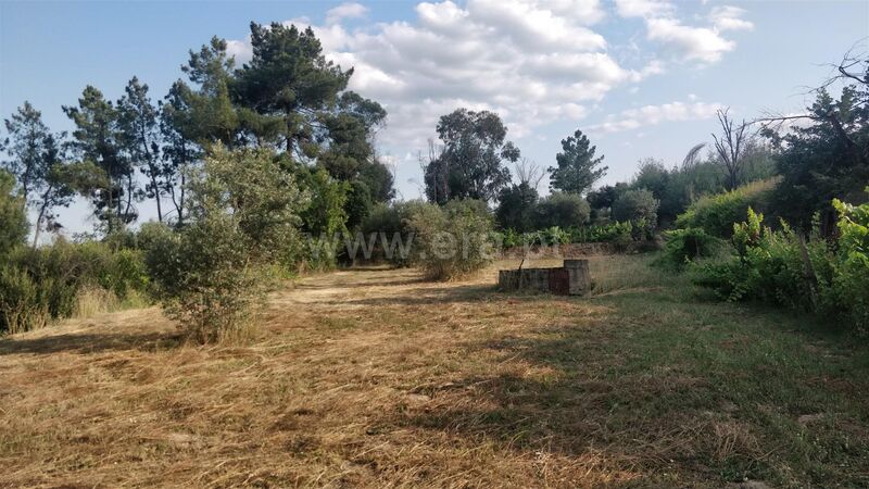 Land with 2660sqm Pêro Viseu Fundão - ,