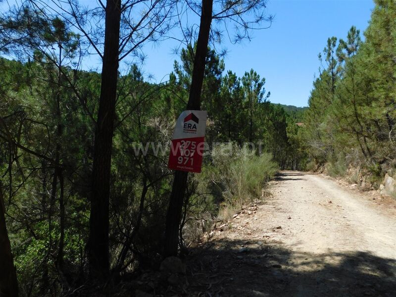 Terreno com 3000m2 Enxabarda Castelejo Fundão